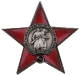 Звезда 100 лет Армии и Флоту (1)